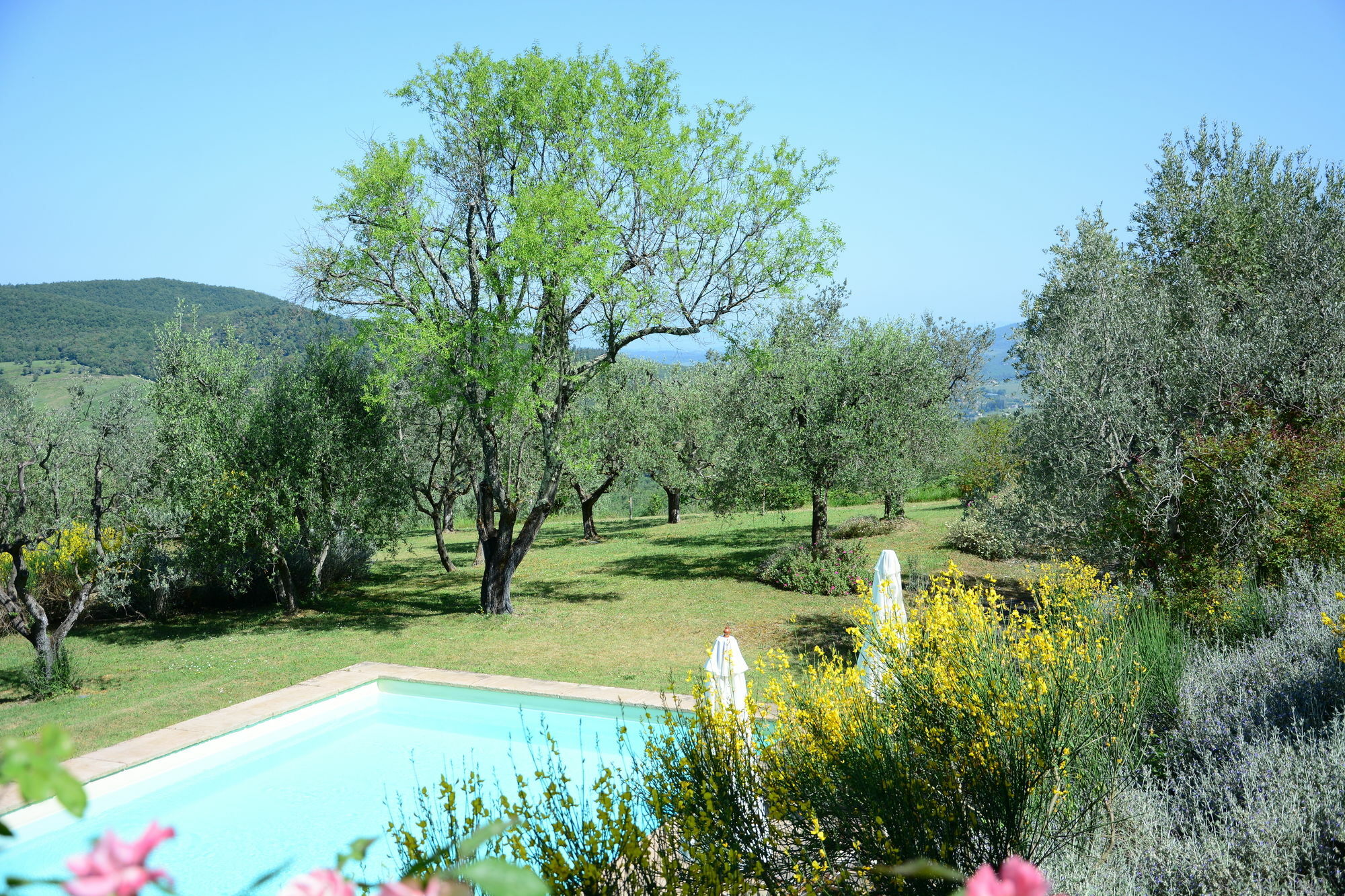 Relais Fattoria Valle Panzano in Chianti Exteriör bild